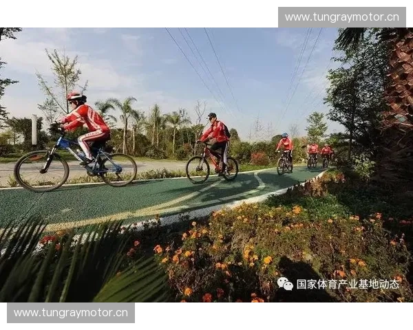 体育仲裁机制视角下体育纠纷多元化解决路径研究与制度完善策略