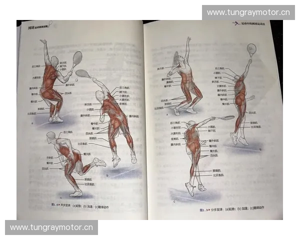 围绕运动表现全面提升的科学训练方法与体能优化策略探索系统研究与实践路径