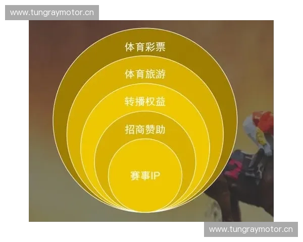 体育营销顾问如何打造品牌赛事增长引擎并提升商业价值与粉丝影响力